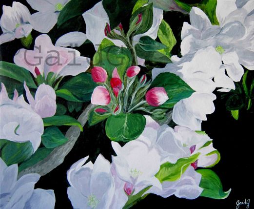 GaidG - Fleurs de pommier - 50x60cm