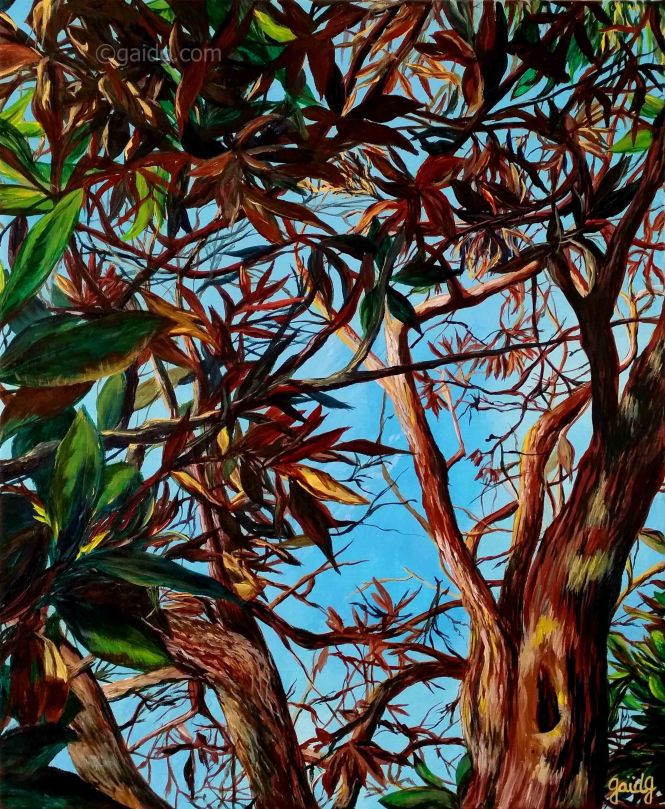 gaidg-reflets-dautomne-38x46-cm