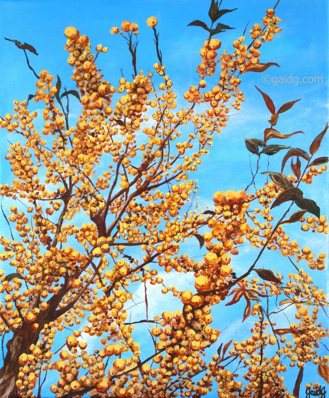 gaidg-fin-dautome-genereux-46x38cm