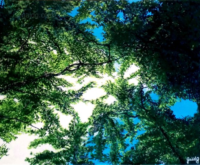 gaidg-sommet-46x38cm