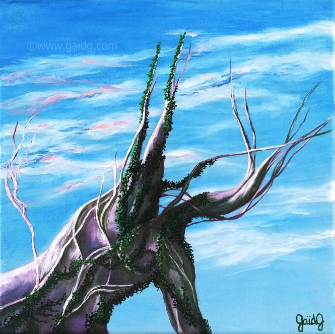 gaidg-extension-30x30-cm